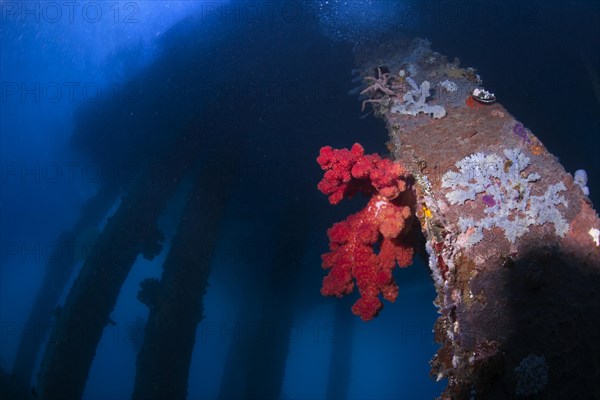 Old abandoned pier for tankers and supply boats