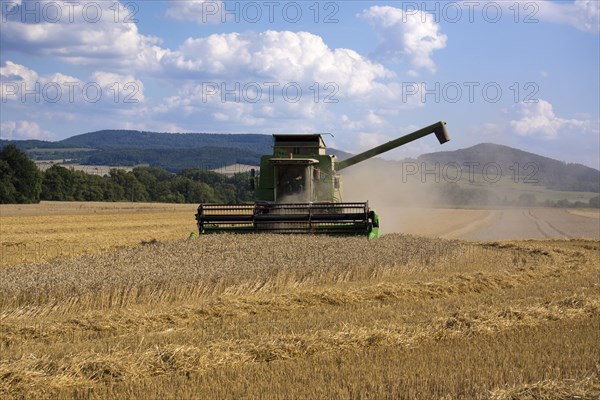 Combine harvester working in a wheat field