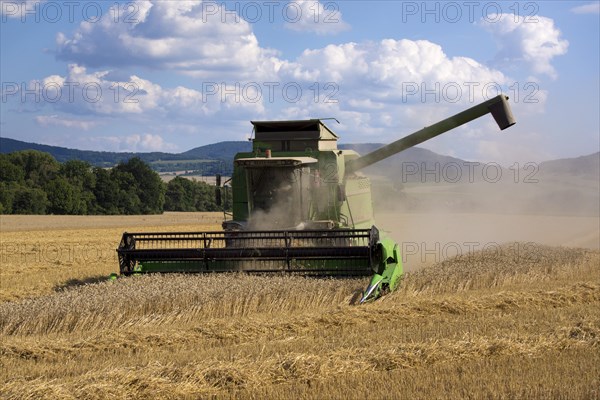 Combine harvester working in a wheat field