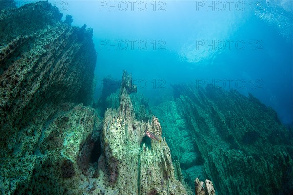 Barracuda Lake