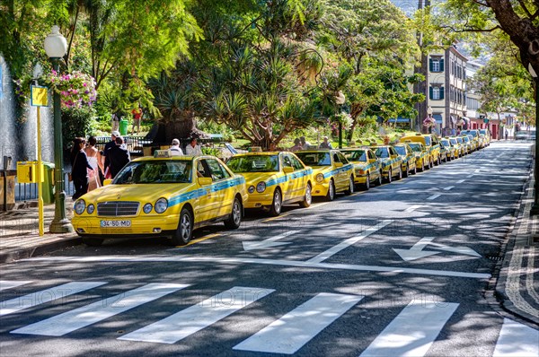 Waiting taxis in the Av. Arriaga in the historic town centre of Funchal