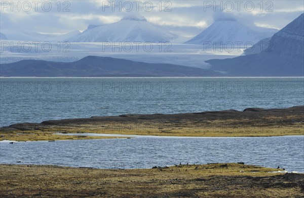 Kongsfjorden or Kongs Fjord