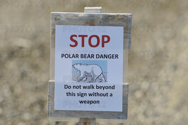 Polar bear warning sign