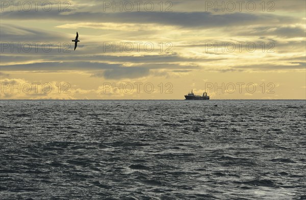 Ship in the Isfjorden fjord