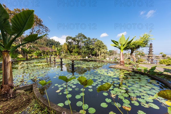 Tirta Gangga or Tirtagangga water palace