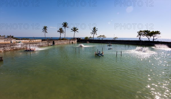 Basin of a shrimp farm