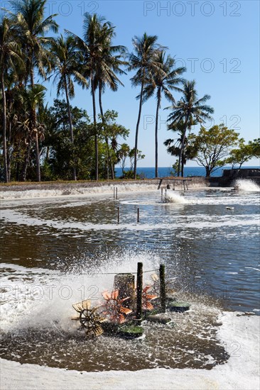 Basin of a shrimp farm with a device for oxygenating the water