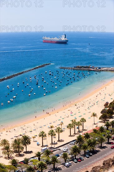 The sandy beach of Playa de las Teresitas with palm trees