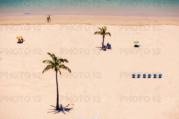 The sandy beach of Playa de las Teresitas with palms