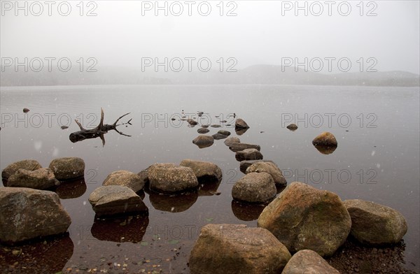 Loch Morlich