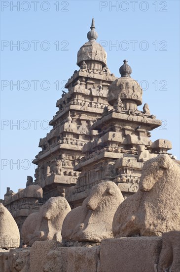 Shore Temple of Mahabalipuram