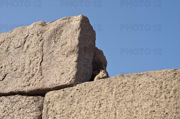 Stone blocks