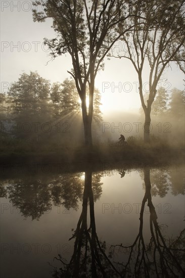 Cyclist on the towpath along the Canal des Vosges