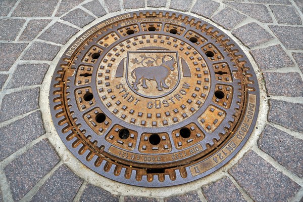 Manhole cover with the bull