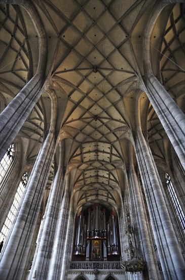 Vaulted ceiling and organ on the gallery of the late-gothic three-naved hall church