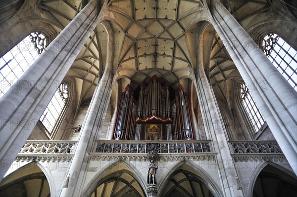 Rieger organ