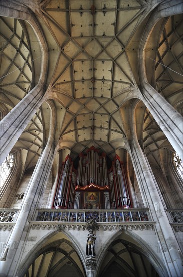 Rieger organ