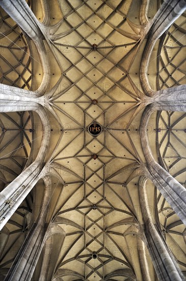 Vaulted ceiling of the late-gothic three-naved hall church