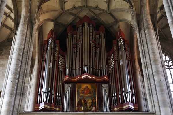 Rieger organ