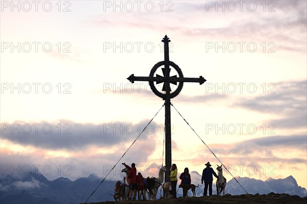 Lama tour to the summit of Ederplan Mountain in the Defregger Group