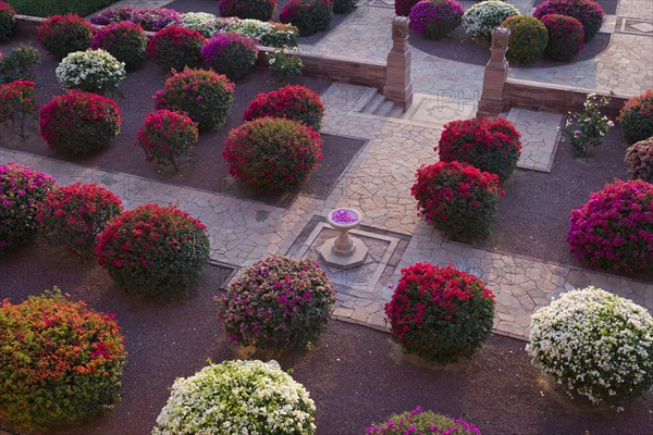Gardens with colourful bougainvillea bushes