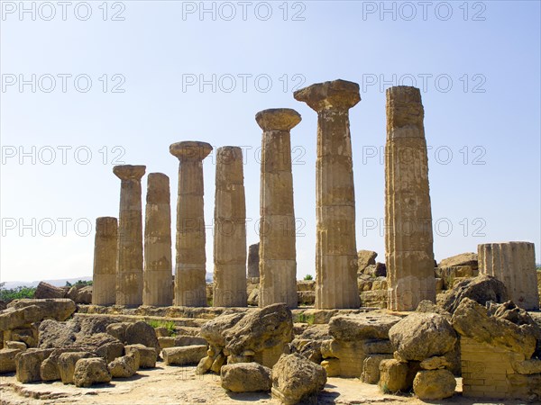 Pillars of the Temple of Heracles in the Valley of the Temples