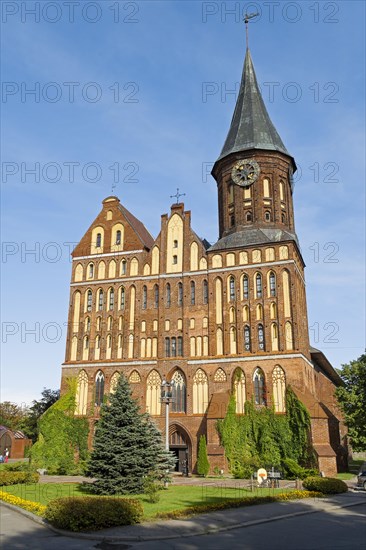 Koenigsberg Cathedral