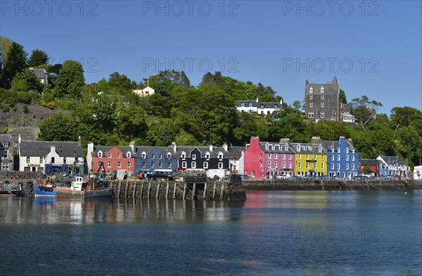 Colourful houses on the harbour