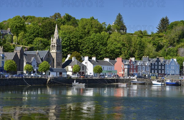 Houses on the harbour