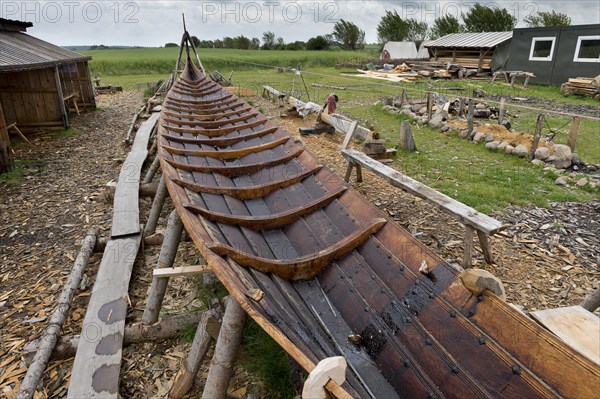 Viking ship