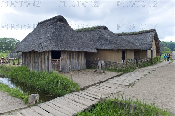 Reconstructed Viking houses with thatched roofs