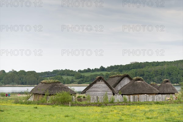 Reconstructed Viking houses with thatched roofs