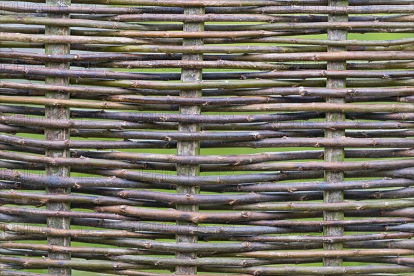 Woven fence made from hazel rods