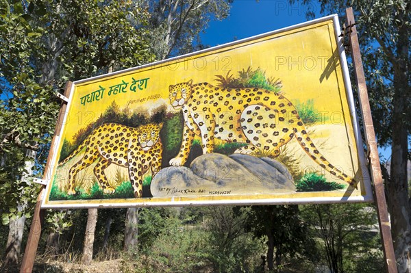 Illustration of two Indian Leopards (Panthera pardus fusca) on a sign