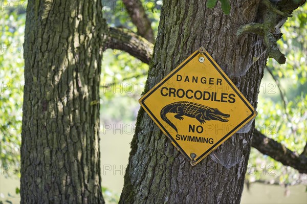 Warning sign 'Danger crocodiles No swimming' on a tree