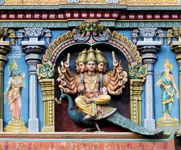 Hindu god Skanda or Murugan