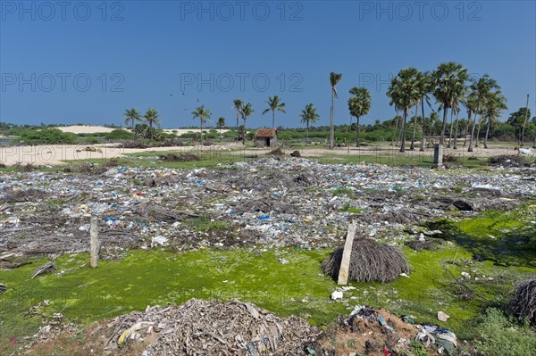 Rubbish next to a road