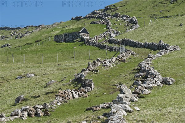 Ancient walls that limit the sheep's way during a sheep drive
