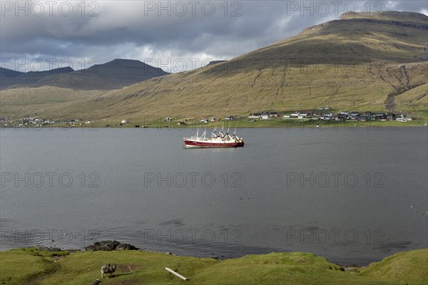 Fishing boats in a fjord