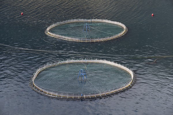 Fish farm