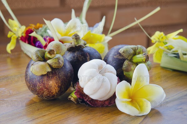 Purple mangosteen fruits (Garcinia mangostana) with Frangipani flowers