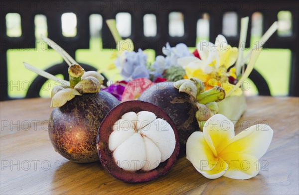 Purple mangosteen (Garcinia mangostana) with frangipani flowers