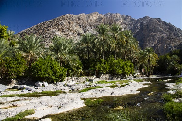 Wadi Ar Raqeem