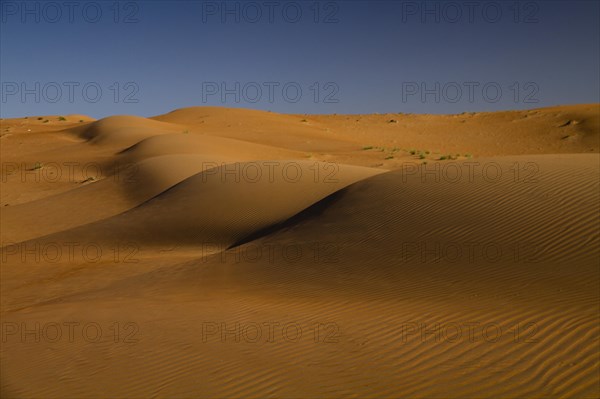 Sand dunes