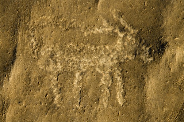 Prehistoric rock art