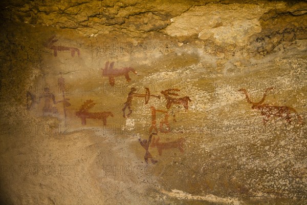 Prehistoric Rock Paintings