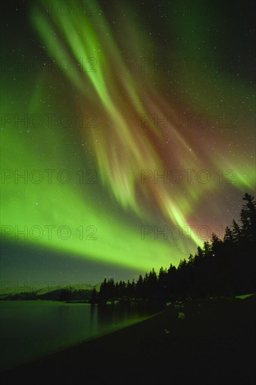 Northern lights