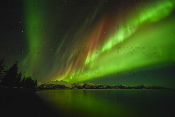 Northern lights