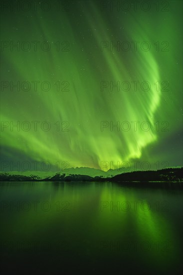 Northern lights