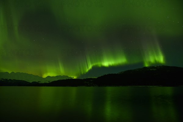 Northern lights